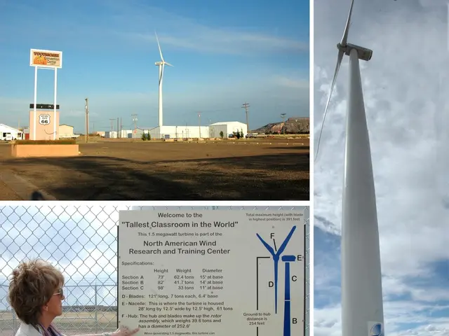 Scholarship of Teaching andGuiding: Discussion with Geosciences Professor Frederik Simons