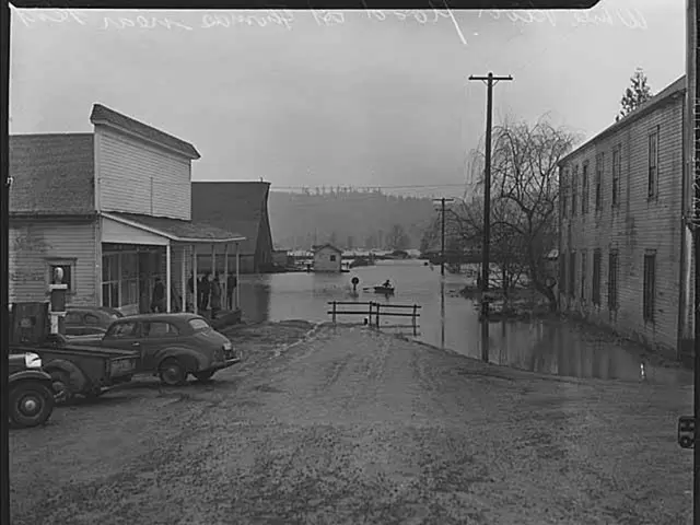 Examining Social Inequality Efforts: An Insight into Equity Projects Nationwide