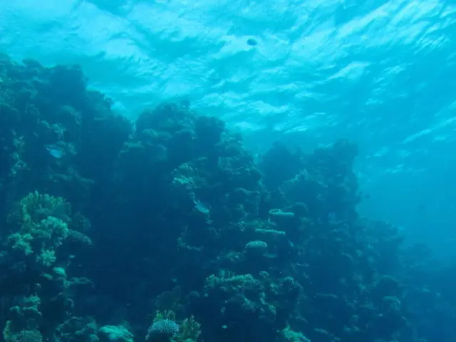 Collaborative studies in marine and polar regions between China and Thailand are underlined for...