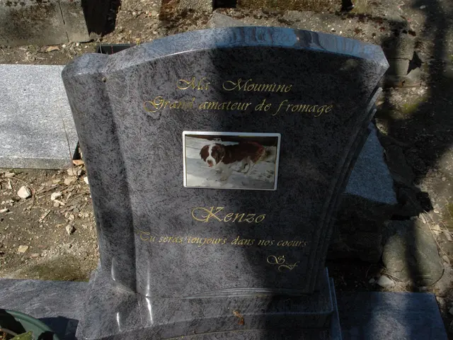 Encountering and Dialoguing with Deceased Parents: Understanding the Depth of the Phenomenon