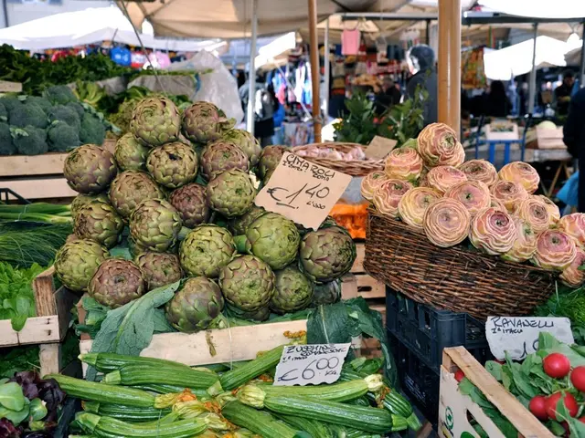 Unleashing the Potential of Variety at Summer Camps Through Multiculturalism