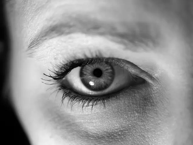 Monitoring eye movements in the education of cytotechnology: Students transitioning into...