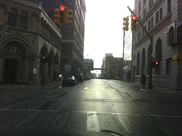 Zebra stripes are disappearing in the city, yet it exhibits a peculiar phenomenon resembling...