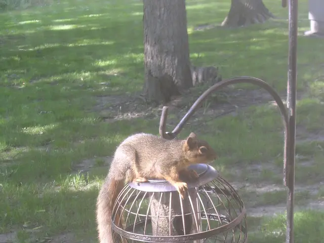 Recommendations for Visual and Aural Entertainment