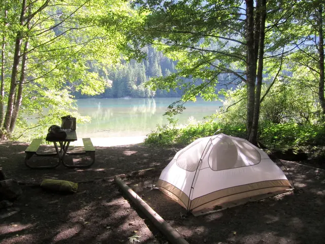 Seven Methods Wilderness Camping Boosts Practical Knowledge, Fostering True-World Competencies