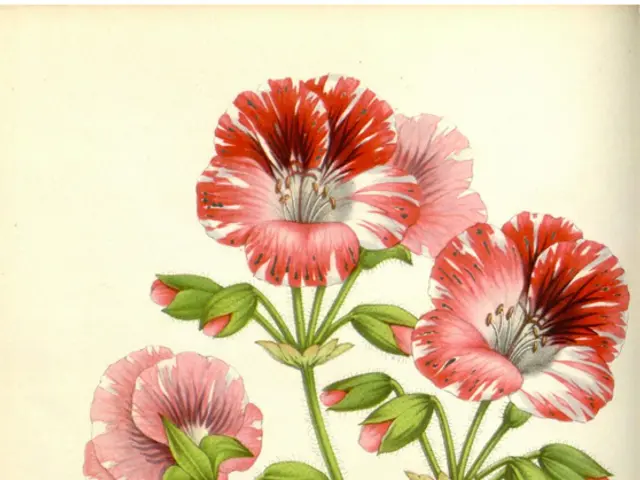 Interpreting the hidden meanings of floral symbols in dreams