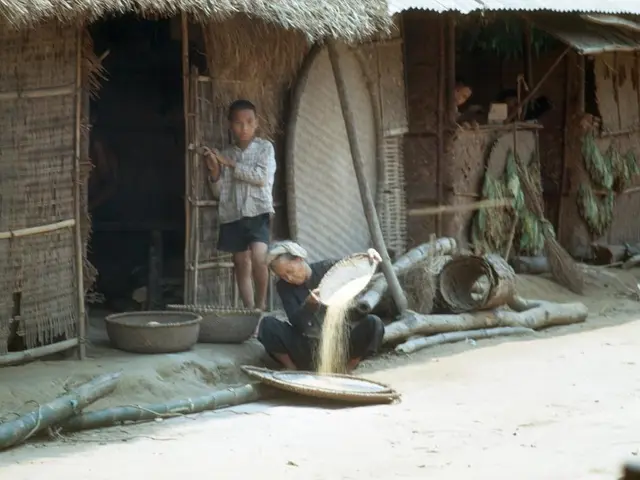 IGNOU Project Report and Proposal / Plagiarism-Free Synopsis