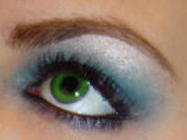 Students in cytotechnology education are "mastering" their skills through the implementation of...