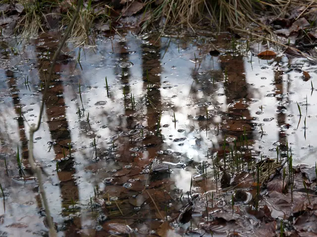 Turbulence theory, initially developed by Russians in 1941, also applies to bubbles.