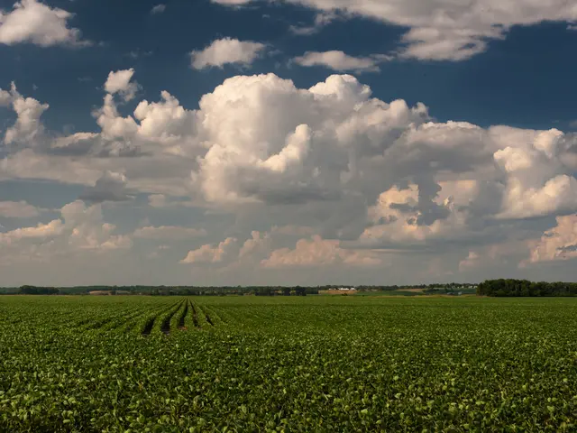 Robert Redford's impact as a philanthropist and environmentalist transcends his success in...