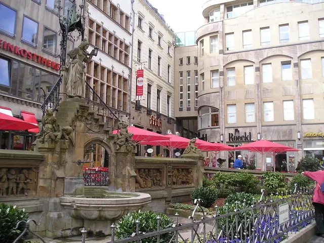 Exploring the Transition from Hobby to Career...