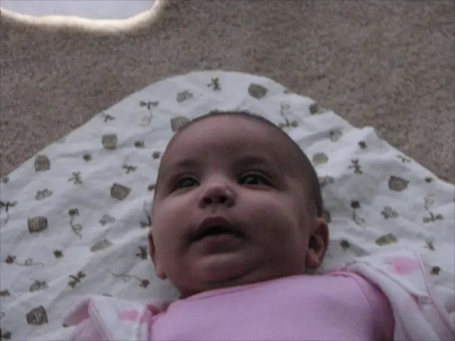 Increase in Parental Contributions for Dresden's Kindergarten (Kitas)