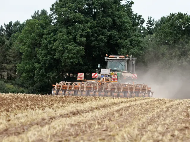 In this picture we can see a harvesting machine in the field and a person is seated in it, in the...