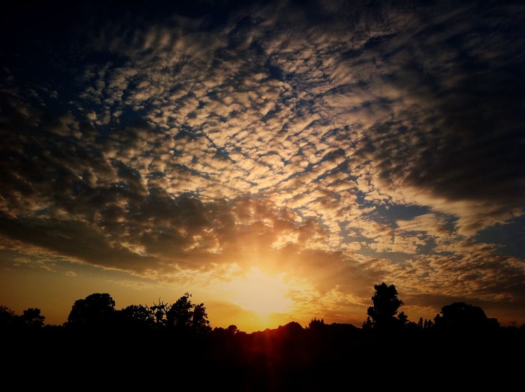 Rapid technological advancements are reshaping the professional landscape, requiring workers to...